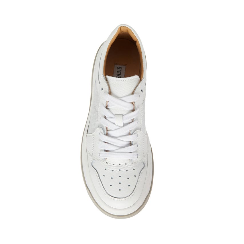 White / Silver Steve Madden Joey Women's Sneakers | PH 3042NUE